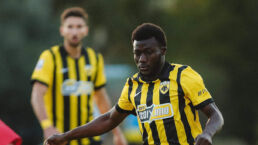 572287330 18533900923052182 7842383207854615650 N